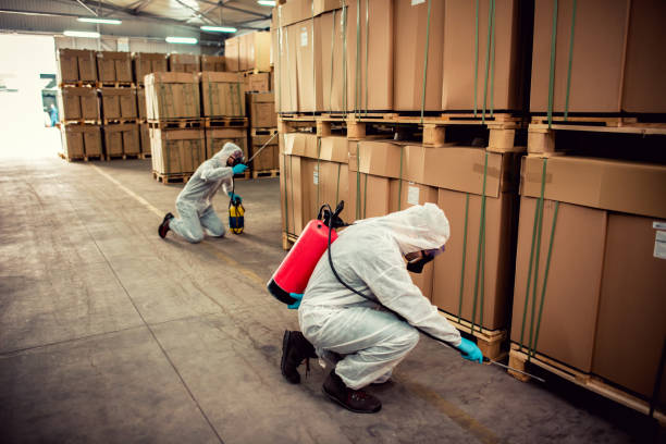 Wildlife Control Services in Paw Paw, MI