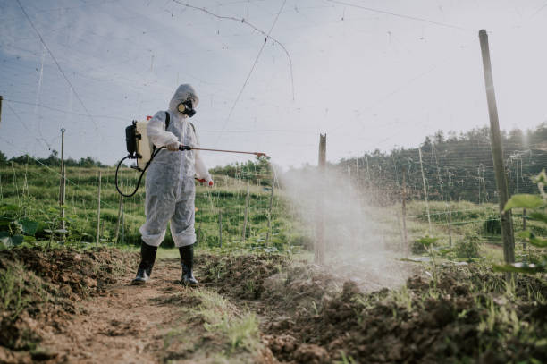 Best Best Pest Control Companies  in Paw Paw, MI