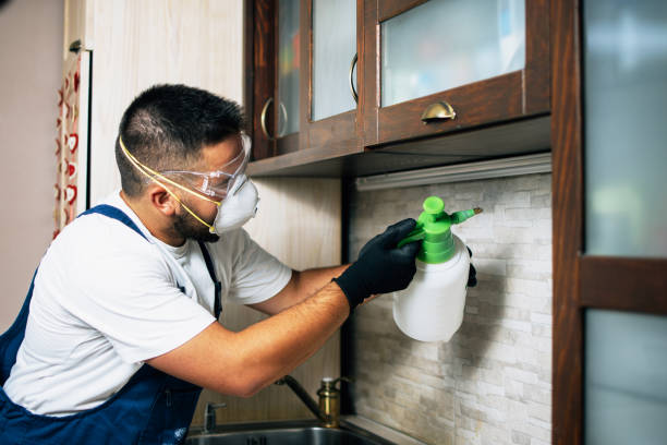 Best Flea Control Services  in Paw Paw, MI