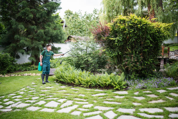 Best Commercial Pest Control Services  in Paw Paw, MI