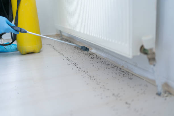 Best Cockroach Control Services  in Paw Paw, MI
